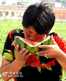 骗老太太西瓜吃瓜视频大全,揭秘骗老太太吃瓜视频背后的趣味与温情