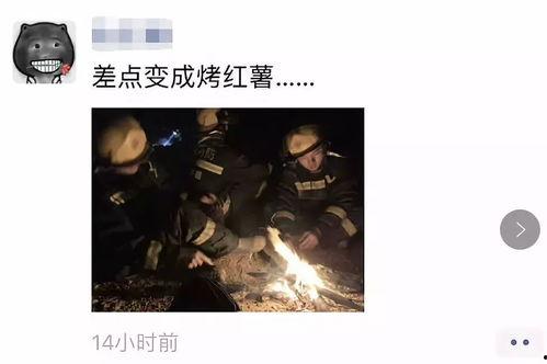 吃瓜情侣互锤视频下载,一场网络风波的幕后揭秘