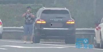 吃瓜群众在线嗑瓜子视频,在线嗑瓜子视频，吃瓜群众欢乐集结