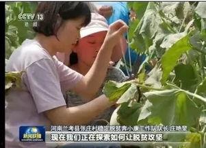 张庄吃瓜新闻报道视频,揭秘视频背后的惊人真相