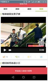 吃鲜瓜的笑话段子视频下载,揭秘吃鲜瓜笑话段子视频下载背后的趣味世界