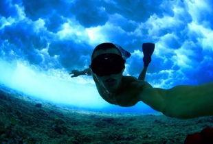 吃瓜冲浪博主视频下载免费