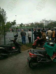 路边吃瓜群众人群视频,揭秘路边吃瓜群众的欢乐时光