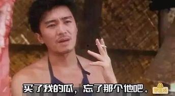 吃瓜搞笑卖惨视频合集,吃瓜搞笑卖惨视频合集大盘点