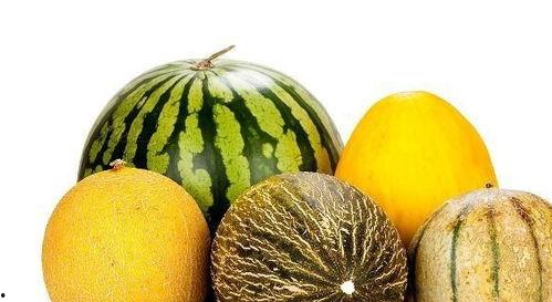 常吃蓝瓜有啥好处吗视频