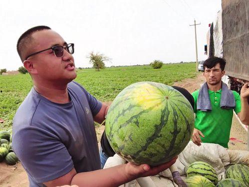 朝阳吃瓜大爷视频大全