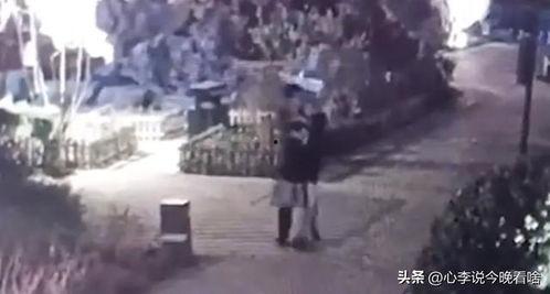 勉县吃瓜事件视频曝光,视频曝光引发社会关注