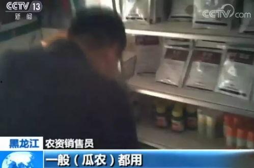 宁波吃瓜事件视频曝光最新,真相揭晓，网友热议不断